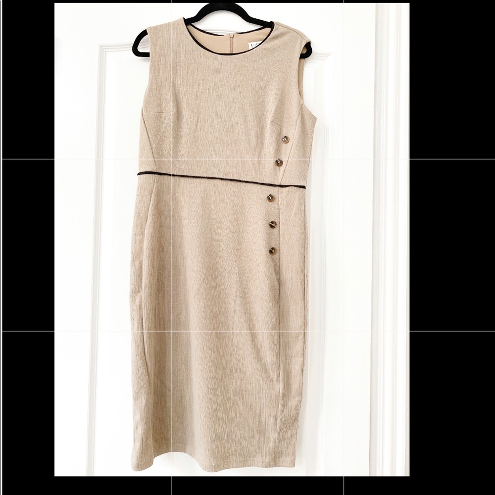 Professional Tan Dress
